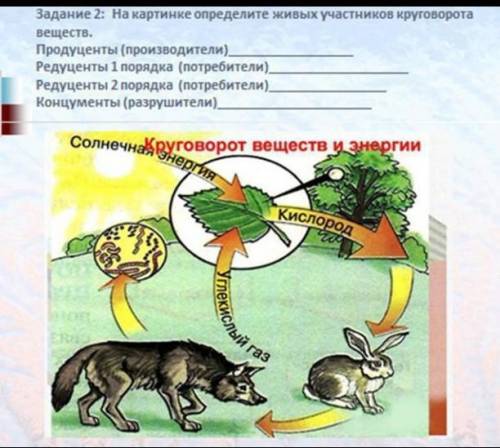 Продуценты (производители)Редуценты 1 порядка(потребители).Редуценты 2 порядка(потребители)Концумент