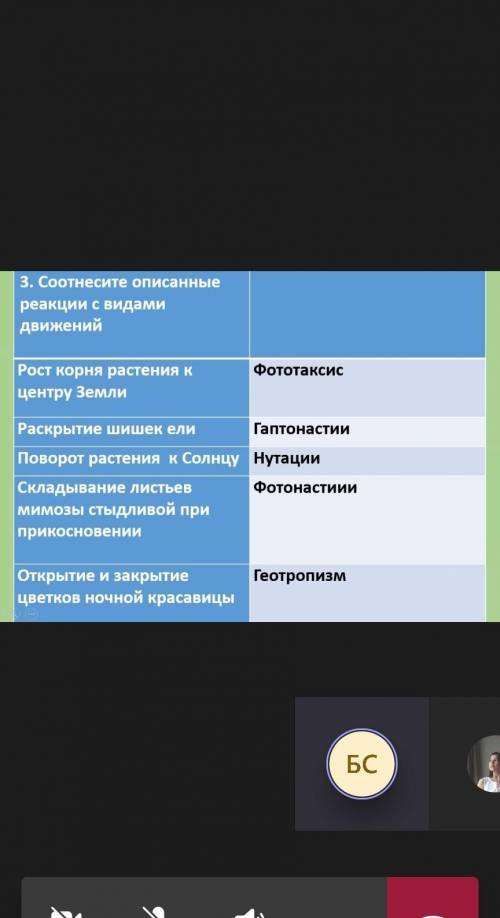 Рост корня растения к центру земли фототаксис раскрытие шишек ели гаптонастииповорот растения к Солн