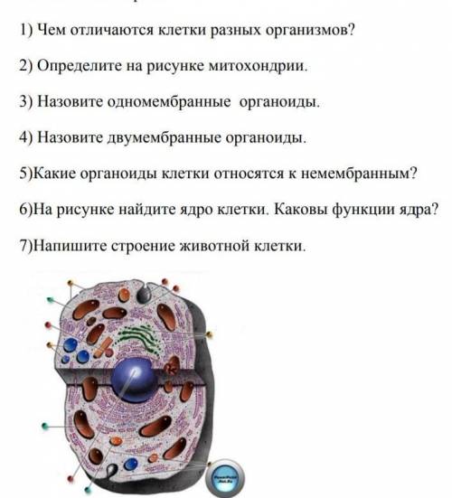 Задание на фото , кто ответит правильно того выберу лучшим и вам ещё дадут , 6Д привет )​