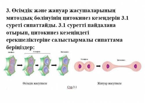 за ответ на казахском языке​