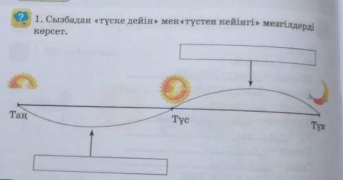 1. Сызбадан «түске дейін» мен «түстен кейінгі» мезгілдердікөрсет.​