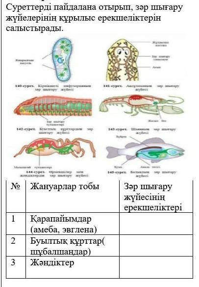 Суреттерді пайдалана отырып, зәр шығару жүйелерінің құрылыс ерекшеліктерін салыстырады.​