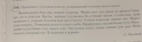 тема :имя прилагательное в языке и речи ​ упражнение 210​