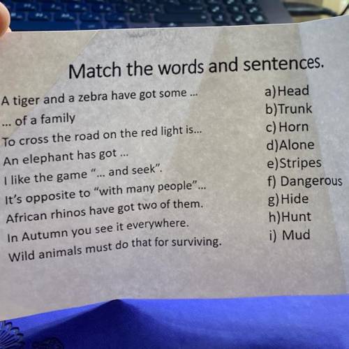 Match the words and sentences.