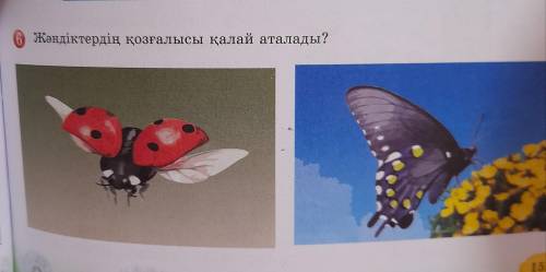 6. Жәндіктердің қозғалысы қалай аталады?