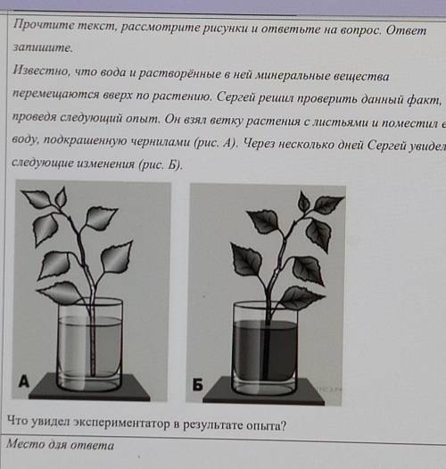 Какой процесс жизнедеятельности растений обеспечивает результат опыта,описанного выше? сделать и кар