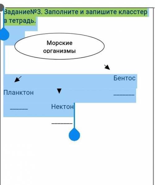 Задание№3. Заполните и запишите класстер в тетрадь. БентосПланктон Нектон​