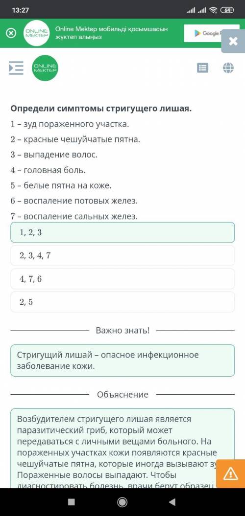 Причины и последствия кожных заболеваний (чесотки, лишая, угревой сыпи). Симптомы и меры профилактик