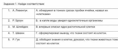 Найди соответствие А. ЛевенгукА. обнаружил в тонких срезах пробки ячейки, назвал их «клетками»Р. Бро