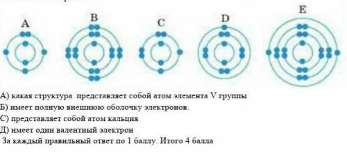 А) какая структура  представляет собой атом элемента V группы Б) имеет полную внешнюю оболочку элект