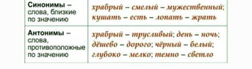 Что такое синонимы антонимы Т главные члены предложение