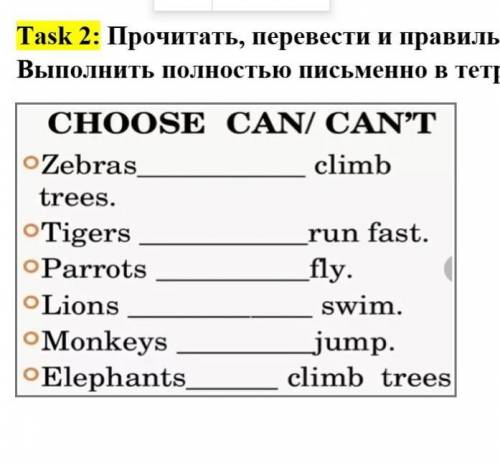 Правильно поставить can / can't​