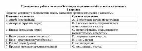 Задание: установите соответствие между названием органов выделения и животным. ​