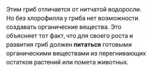 кто то скажите чем питается артроботрис дактилярия аспергил мукор