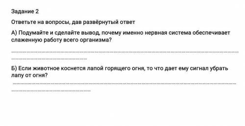 Задание 2 ответьте на вопросы, дав развёрнутый ответА) Подумайте и сделайте вывод, почему именно нер