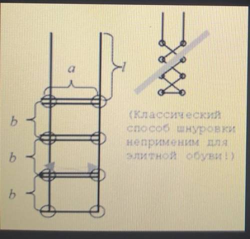 Условие Обувная фабрика собирается начать выпуск элитной модели ботинок. Дырочки для шнуровки будут