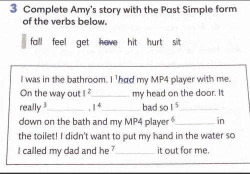 Complete Amy's story with the Past Simple form of the verbs below.