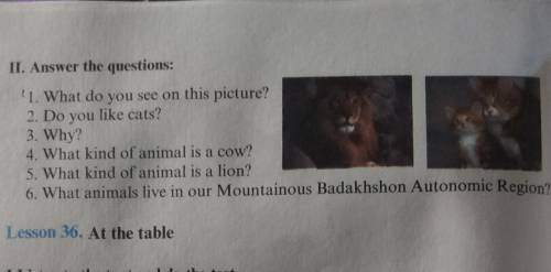 Здравствуйте ответит на вопросах на англиском. 1 What do you see on this picture?2 Do you like cats?