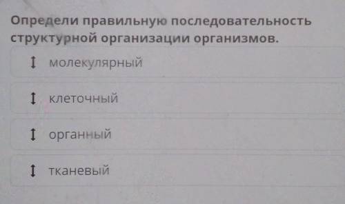 Определи правильную последовательность структурной организации организмов.1 органный1 молекулярныйІ