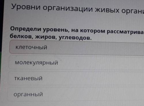 Определи уровень, на котором рассматривается сходство молекул, входящих в их состав, например, белко