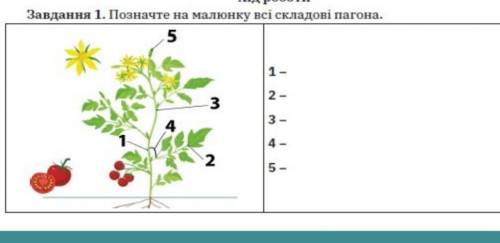 Позначте на малюнку всі складові пагона​ ответьте надо