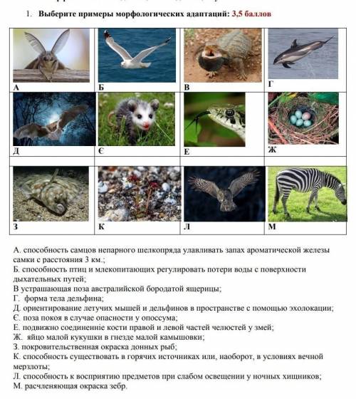 Морфологические адаптации ​