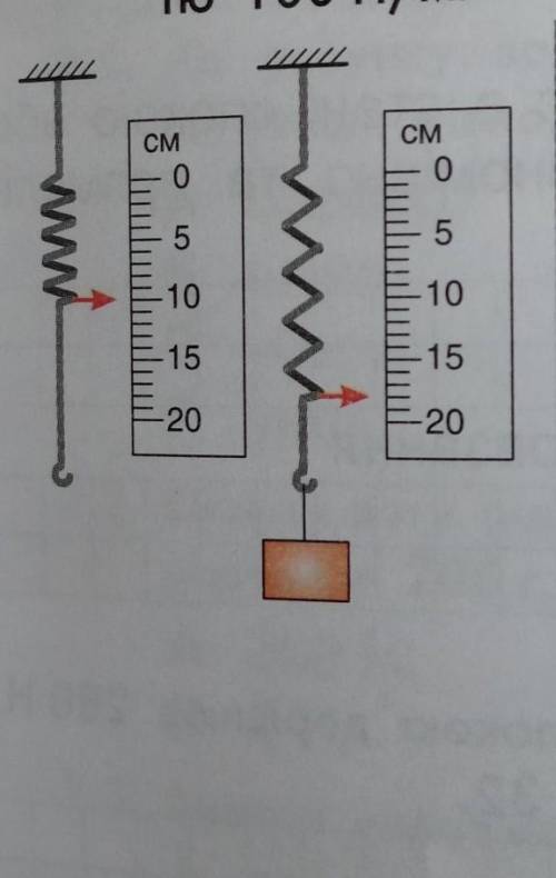 Визнач за рисунком масу та вагу тягарця, підвишеного до пружини жорсткістю 100H/м.​