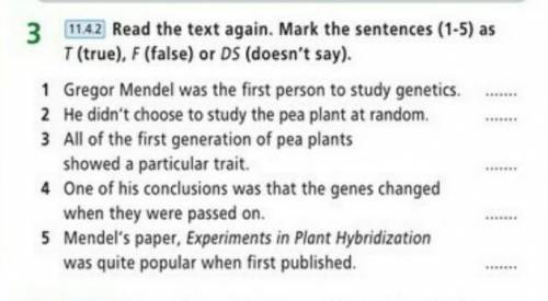 Exercise 3, p. 8 Read the text again. Mark the sentences (1-5) as T (true), F (false) or DS (doesn't