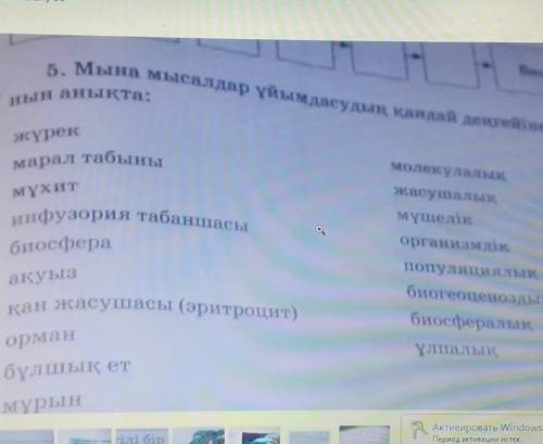 5.Мына мысалдар ұйымдасудың қандай денгейіне жататынын анфқта​