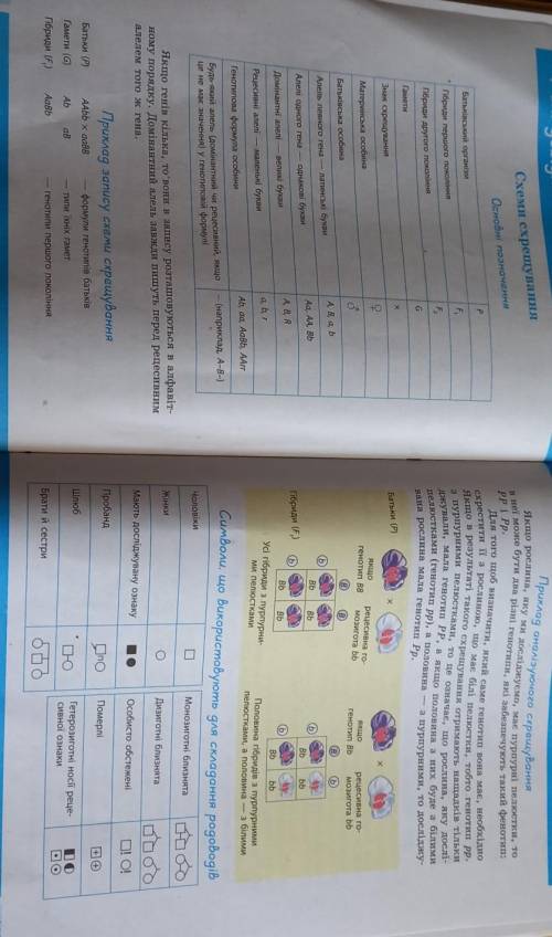 Складіть схему скрещування,яке було описано у прикладі аналізуючого скрещування дам 50- ​