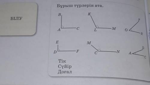 Бұрыш түрлерін ата.ВБілуАлMNТікСүйірДогал​