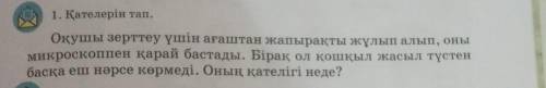 1. Қателерін тап. Оқушы зерттеу үшін ағаштан жапырақты жұлып алып, онымикроскоппен қарай бастады. Бі