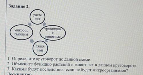 Объясните данный круговорот и выпрлните задание по нему 1. Название круговорота2. Объясните функцию