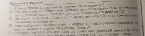 Топинамбур, или земляная груша, и картофель клубненосные растения, од- нако их относят к разным семе