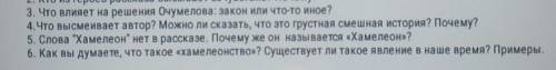 Рассказ Чехова Хамелеон, ответить на вопросы!​