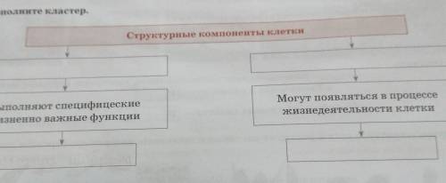 Дополните кластер.Структурные компоненты клеткиВыполняют специфищескиежизненно важные функцииМогут п