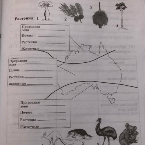 Заполните картосхему «Природные зоны Австралии и Океаний», используя тематические карты и рисунки.