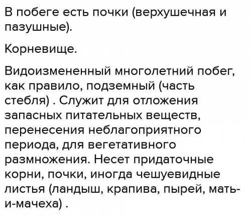 1) Чем подземные видоизмененные побеги отличаются от корней? 2) Какие видоизменения надземных побего