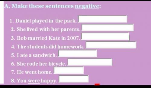 Make these sentences negative​