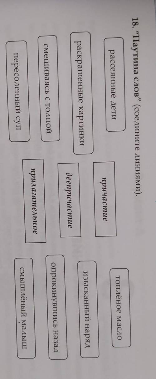 Паутина слов соедините линиями