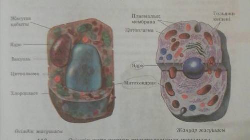 Надо этот рисунок нарисовать на тетрадь!Я бы сам сделал, но я не умею рисовать!​