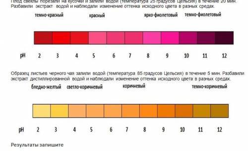 Плод свеклы порезали на кусочки и залили водой (температура 25 градусов Цельсия) в течение 20 мин. Р