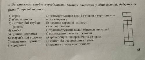 До структур стебла дерев'янистої рослини наведених у правій колонці,оберіть їм функції з правої коло