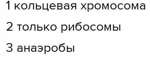 11.В текст вставьте пропущенные слова а) Вместо ядра у прокариот в центре располагается ___. б) В кл