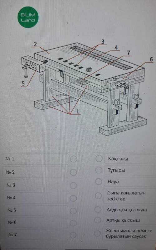 Сөздерді суреттегі сәкес сандарға орналастыр​