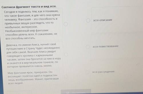 Соотнести фрагмент текста и вид эссе​