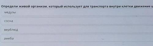 Определи живой организм, который используют для транспорта внутри клетки движение цитоплазмы