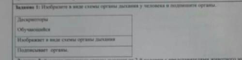 Изобразите в виде схемы Органы дыхания у человека и Подпишите органы​