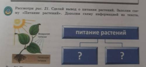 Рассмотри рис. 21. Сделай вывод о питании растений. Заполни схему Питание растений. Дополни схему