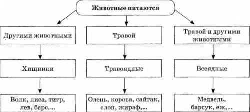 Составьте схему о питании животных​